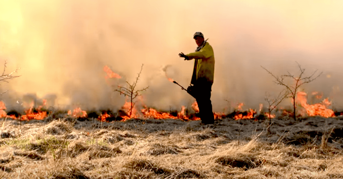 Q&A: How To Conduct a Controlled Burn on Your Property